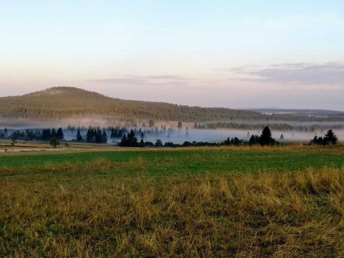 Apartmány u Torína Boží Dar Exterior foto